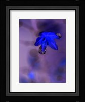 Morning Rain II Framed Print