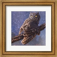 Owl in Winter I Fine Art Print