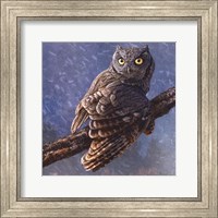 Owl in Winter I Fine Art Print