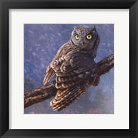 Owl in Winter I Framed Print