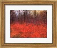Red Grass I Fine Art Print