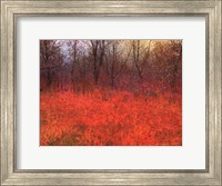 Red Grass I Fine Art Print