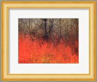 Red Grass II Fine Art Print