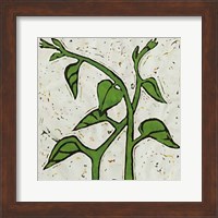 Planta Green V Fine Art Print