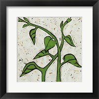 Planta Green V Fine Art Print