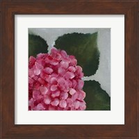 Hydrangea Detail II Fine Art Print