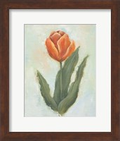 Painted Tulips IV Fine Art Print