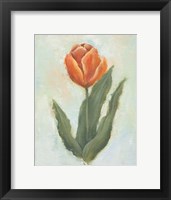 Painted Tulips IV Fine Art Print