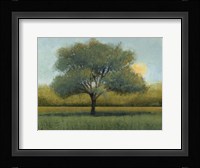 Sunrise I Framed Print