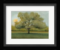 Sunrise II Framed Print