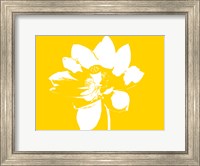 Lilly on Yellow Fine Art Print