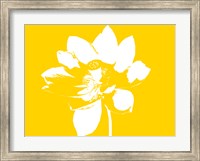 Lilly on Yellow Fine Art Print