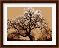 Oak Tree on Tope Fine Art Print