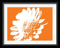 Orange Mum Fine Art Print