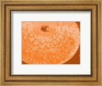 Orange Abstract Fine Art Print