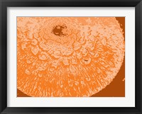 Orange Abstract Fine Art Print
