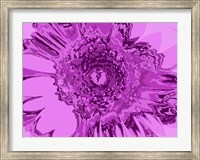 Pink Abstract Flower Fine Art Print