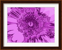 Pink Abstract Flower Fine Art Print