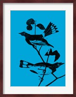 Starlings Fine Art Print
