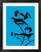 Starlings Fine Art Print