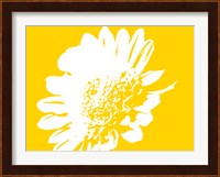 Yellow Mum Fine Art Print