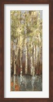 Forest Whisper I Fine Art Print