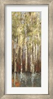 Forest Whisper I Fine Art Print