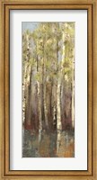 Forest Whisper II Fine Art Print