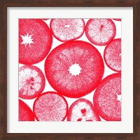 Red Lemon Slices Fine Art Print