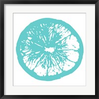 Aqua Orange Slice Framed Print