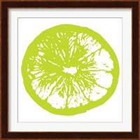 Lime Orange Slice Fine Art Print