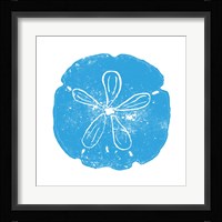 Blue Sand Dollar Fine Art Print