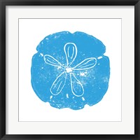 Blue Sand Dollar Fine Art Print