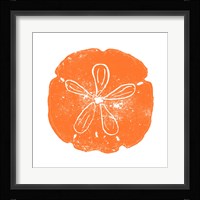 Orange Sand Dollar Fine Art Print