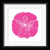 Pink Sand Dollar Fine Art Print