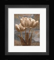 Tulip I Fine Art Print