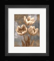 Tulip II Fine Art Print