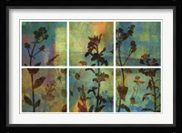 Wild Flowers II Fine Art Print