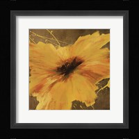 Colourful Flowers II Framed Print