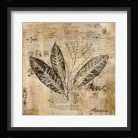 Botanical Sketchbook I Fine Art Print