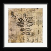 Botanical Sketchbook II Fine Art Print