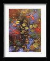 Beni Ori Koi Fine Art Print