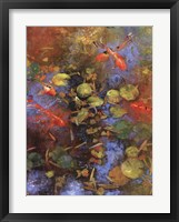 Beni Ori Koi Fine Art Print