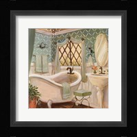 Designer Bath II Framed Print