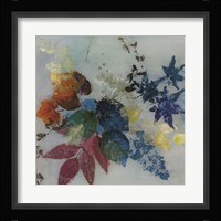 Summer Dance III Framed Print