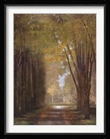 The Mist Fine Art Print