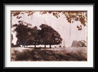 Tree Meadow II Fine Art Print
