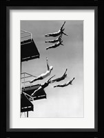 High Dive Fine Art Print