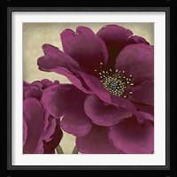 Peony Dusk I Fine Art Print