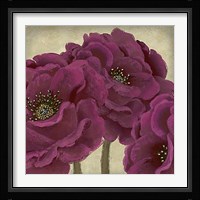 Peony Dusk II Fine Art Print